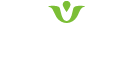 OEM化粧品のヴェルシーナ | VELLSHEENA
